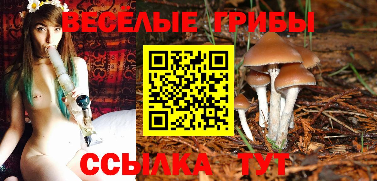 Псилоцибиновые грибы MAGIC MUSHROOMS  Вход с VPN  Ишим  Псилоцибиновые грибы мицелий 